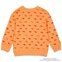 Overview image: Sturdy- sweater