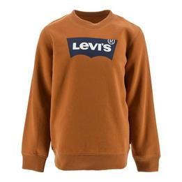 Overview image: Levi's- sweater