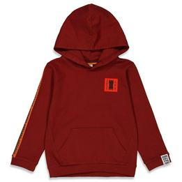Overview image: Sturdy- hoody
