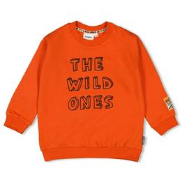 Overview image: Sweater Fly Wild